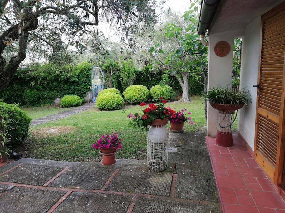 Villa Brezza Capaccio Bagian luar foto